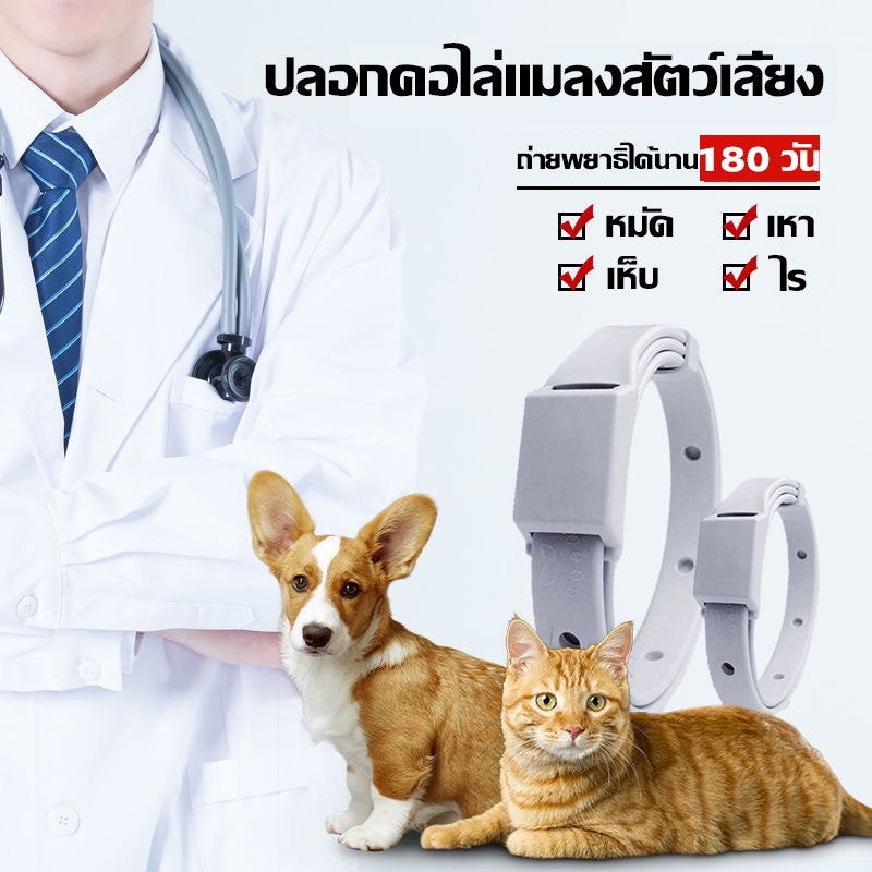 ปลอกคอกันเห็บและหมัด - 图片3