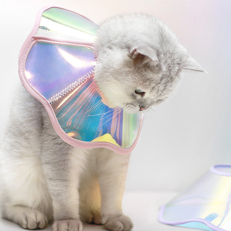 ปลอกคอกันเลียสัตว์เลี้ยง - 图片4