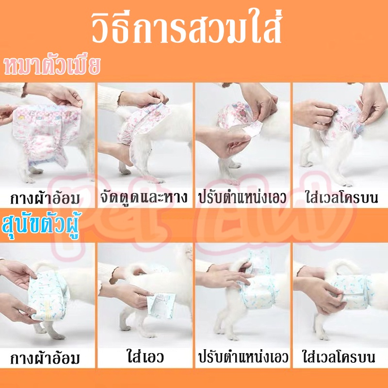 แพมเพิส ผ้าอ้อมสัตว์เลี้ยง - 图片8