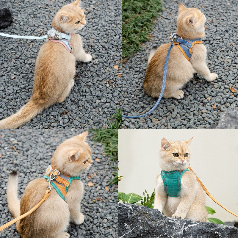 สายจูงสัตว์เลี้ยงสะท้อนแสงหลากสีสัน - 图片3