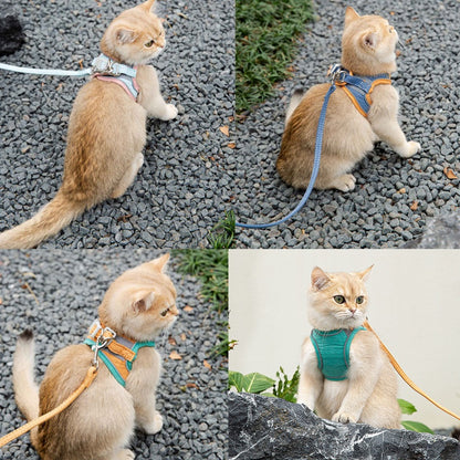 สายจูงสัตว์เลี้ยงสะท้อนแสงหลากสีสัน - 图片3