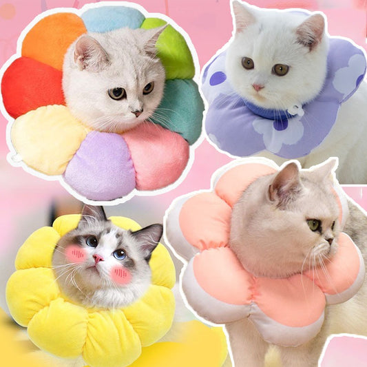 ปลอกคอป้องกันการเลีย - 主图