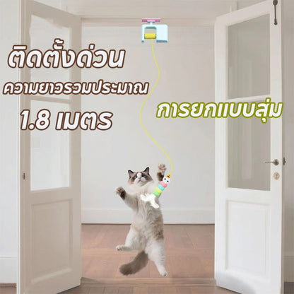 ของเล่นแมวติดประตูอัตโนมัติ - 图片2
