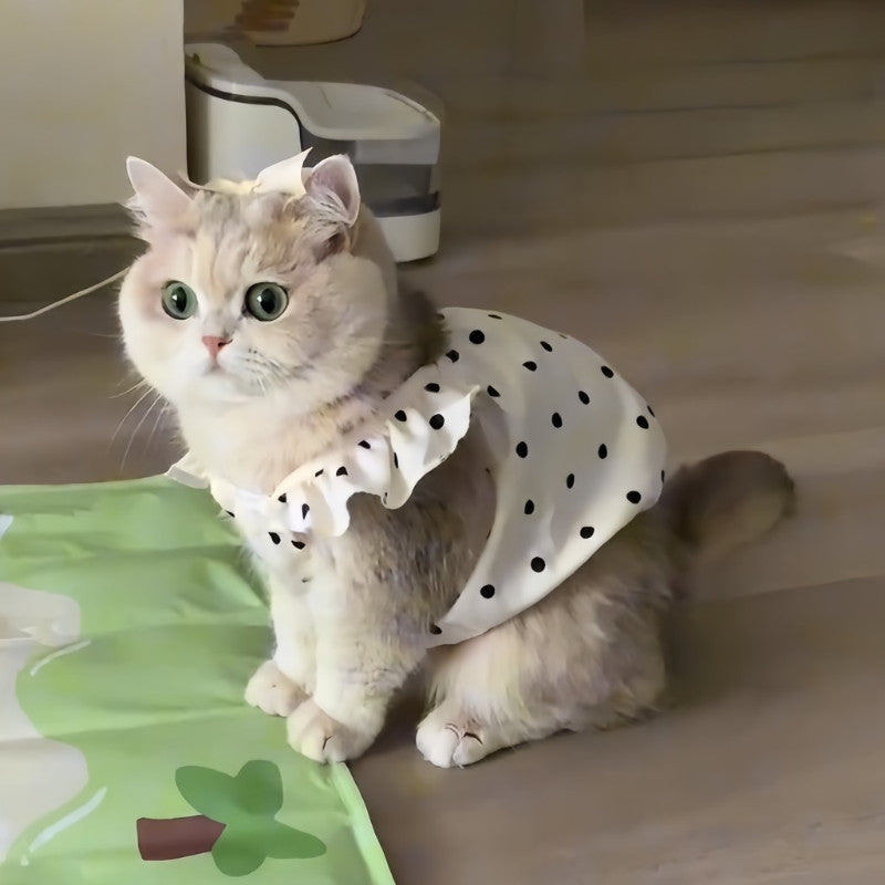 เสื้อเชิ้ตลายจุดน่ารักพร้อมลายสัตว์เลี้ยง เสื้อเชิ้ตเดรสลายแมว - 图片1