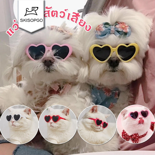แว่นกันแดดสำหรับสัตว์เลี้ยงสุดเก๋ - 主图