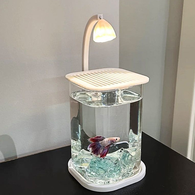 ตู้เลี้ยงปลาเบต้าพลาสติกใส พร้อมไฟ LED - 图片2