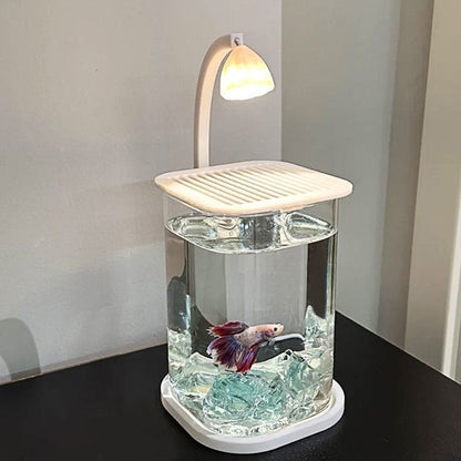 ตู้เลี้ยงปลาเบต้าพลาสติกใส พร้อมไฟ LED - 图片2