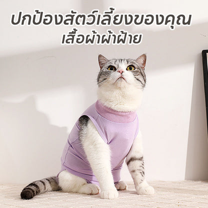 เสื้อผ้าแมวหลังผ่าตัด - 图片2
