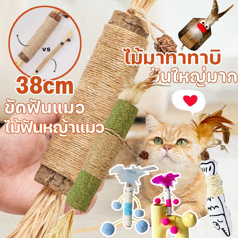 ของเล่นแปรงสีฟันไม้สำหรับแมว - 主图