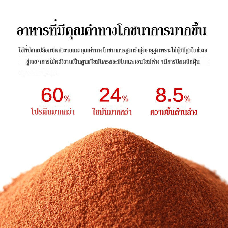 อาหารปลากัด, ไข่กุ้งน้ำเค็ม, ไรน้ำสด, อาหารลูกปลา - 图片2