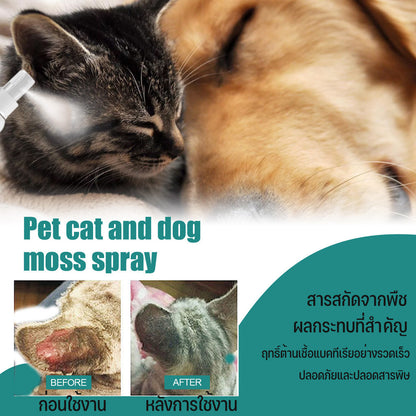 สเปรย์ฉีดผิวหนังสุนัขและแมว - 图片3
