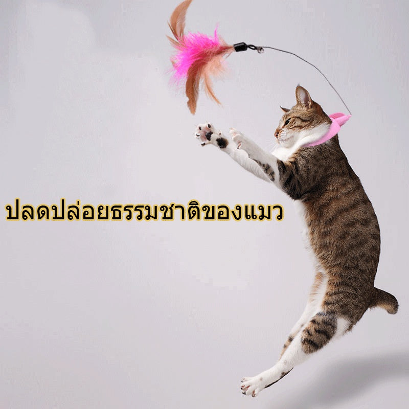 ปลอกคอแมวแสนสนุก ไม้แมวแสนสนุก - 图片5
