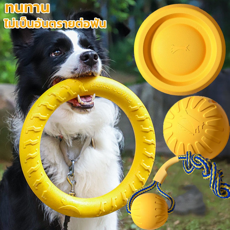 ของเล่นสุนัขจานร่อนแบบโต้ตอบ - 主图