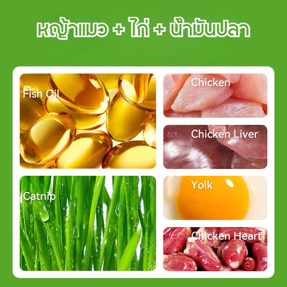 หญ้าแมว ขนมแมวแบบฟรีซดราย - 图片5