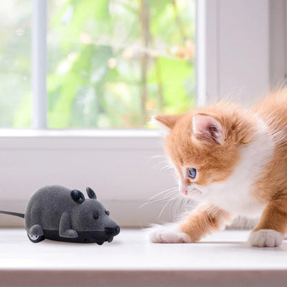 กับดักหนูแบบควบคุมระยะไกลด้วยไฟฟ้า - 图片4