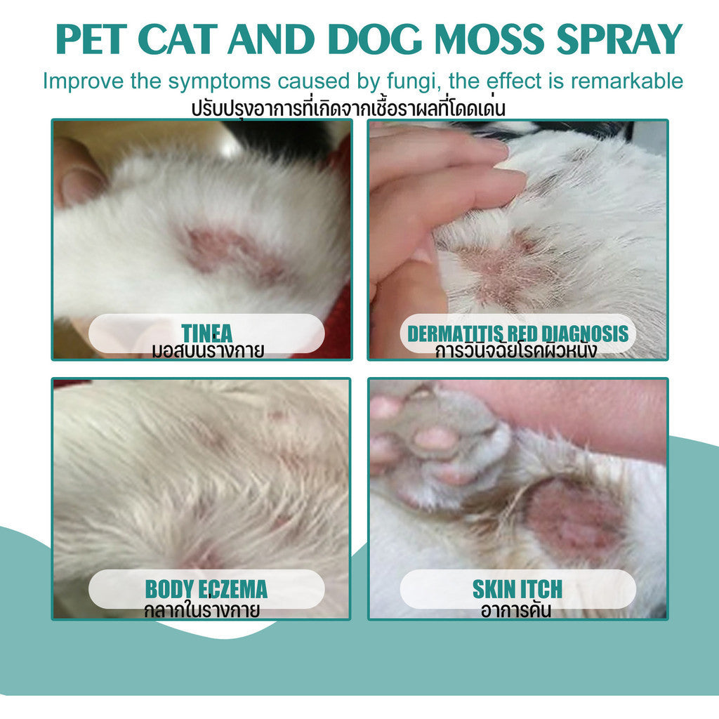 สเปรย์ฉีดผิวหนังสุนัขและแมว - 图片5