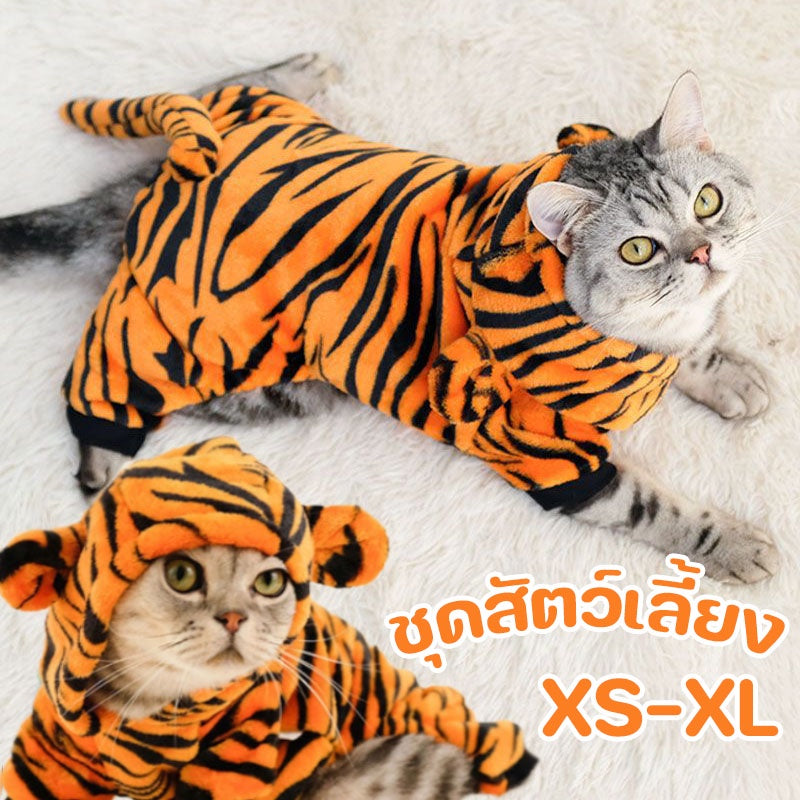 พร้อมส่ ชุดสัตว์เลี้ยง เสื้อกันหนาวมีฮู้ด ลายเสือ ผ้าสักหลาด เสื้อแมว - 主图