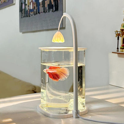 ตู้เลี้ยงปลาเบต้าพลาสติกใส พร้อมไฟ LED - 图片3