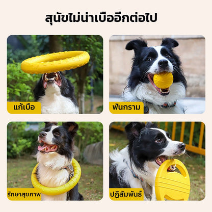 ของเล่นสุนัขจานร่อนแบบโต้ตอบ - 图片1