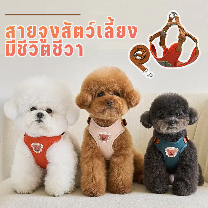 สายจูงสัตว์เลี้ยง, สายรัดอกสุนัขพร้อมสายจูง, ปรับได้ - 主图