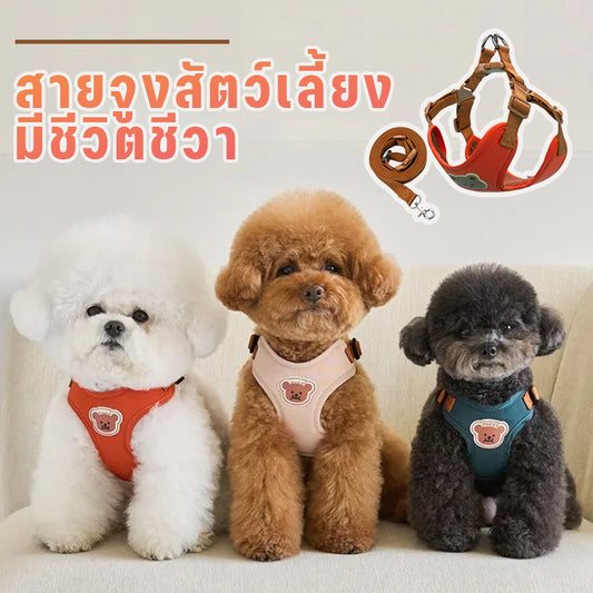 สายจูงสัตว์เลี้ยง, สายรัดอกสุนัขพร้อมสายจูง, ปรับได้ - 主图