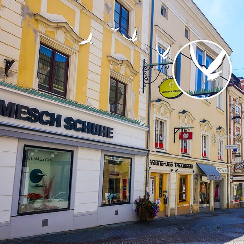 ตะปูไล่นก อุปกรณ์ทำรังนก - 图片9