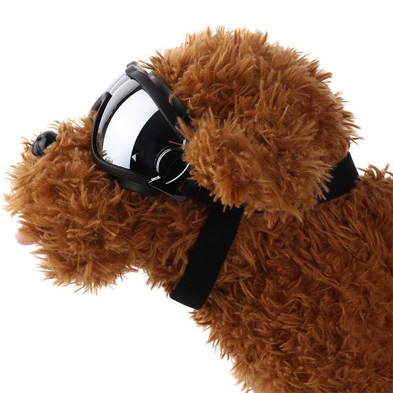 แว่นกันแดดสำหรับสัตว์เลี้ยง - 图片5