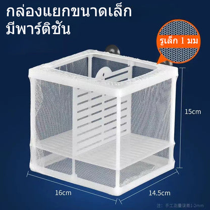 ตู้ปลาแบบมีตาข่ายช่วยแยกปลาวัยอ่อนและปลาโตเต็มวัยออกจากกัน - 图片7