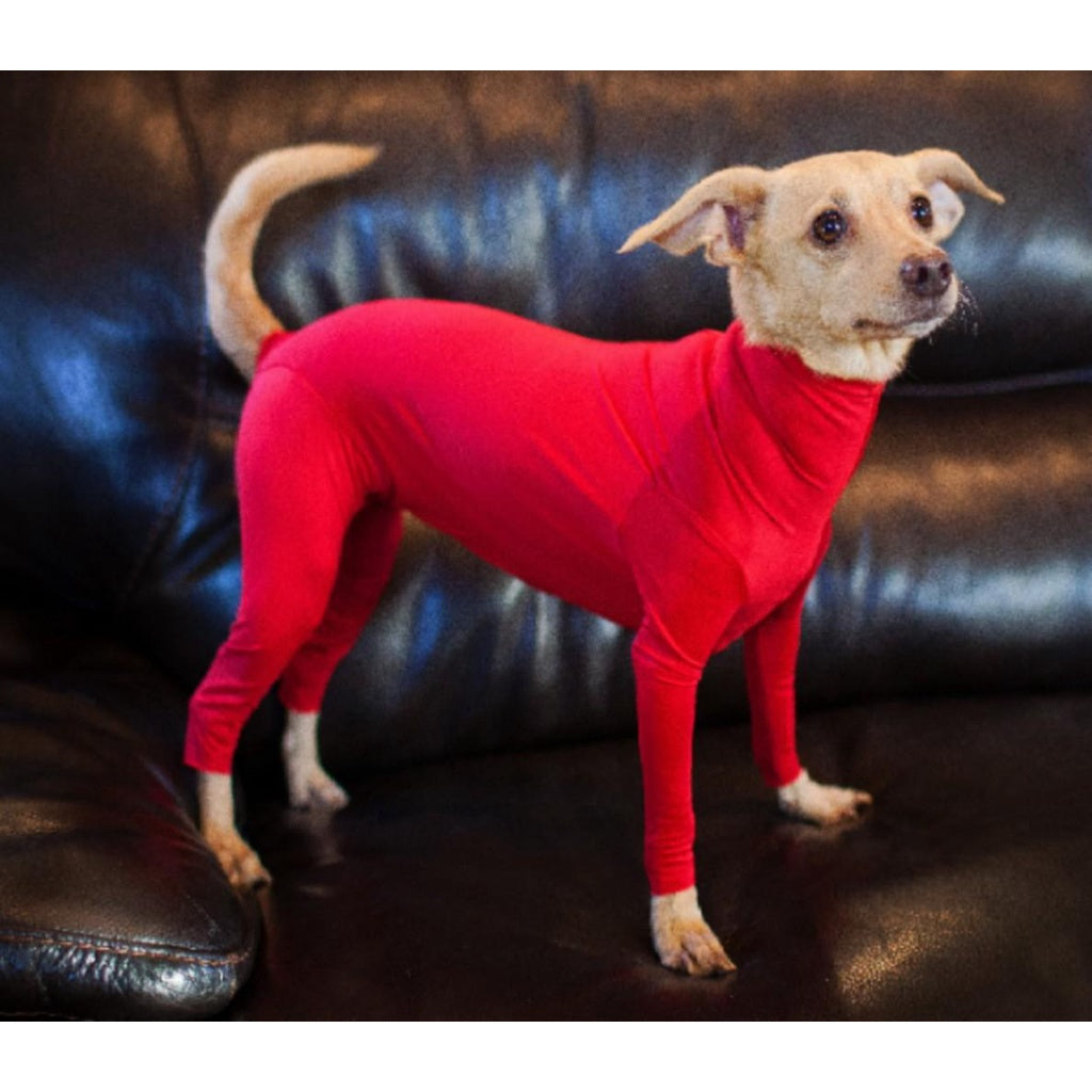 ชุดรัดรูปป้องกันการหลุดร่วงสำหรับสุนัขขนาดกลางและใหญ่ - 图片4