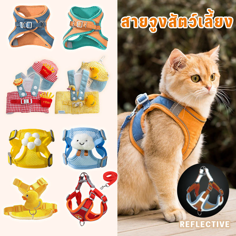 สายจูงสัตว์เลี้ยงสะท้อนแสงหลากสีสัน - 主图