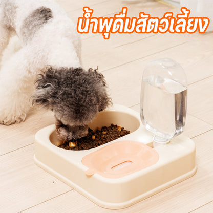 ที่ให้อาหารและเครื่องดื่มสำหรับสัตว์เลี้ยง ความจุขนาดใหญ่ 500 มล. - 主图