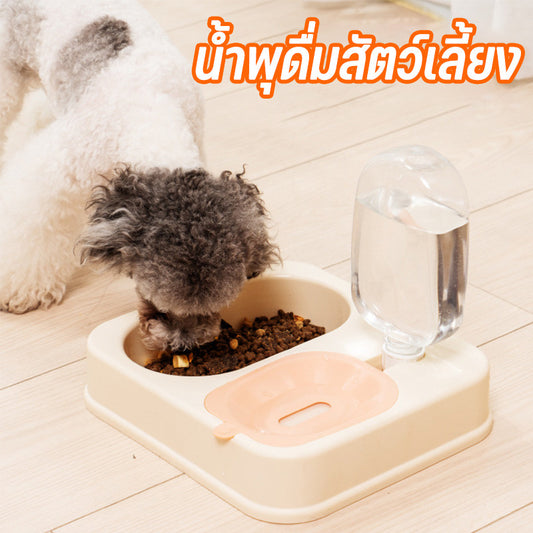 ที่ให้อาหารและเครื่องดื่มสำหรับสัตว์เลี้ยง ความจุขนาดใหญ่ 500 มล. - 主图