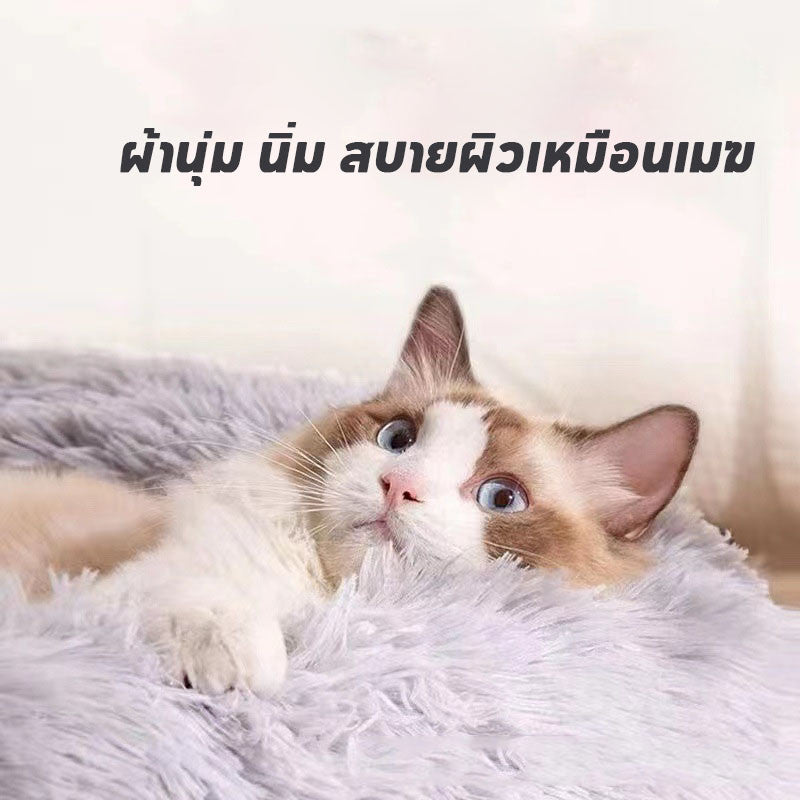 เตียงโดนัทสัตว์เลี้ยง นุ่มฟู - 图片2