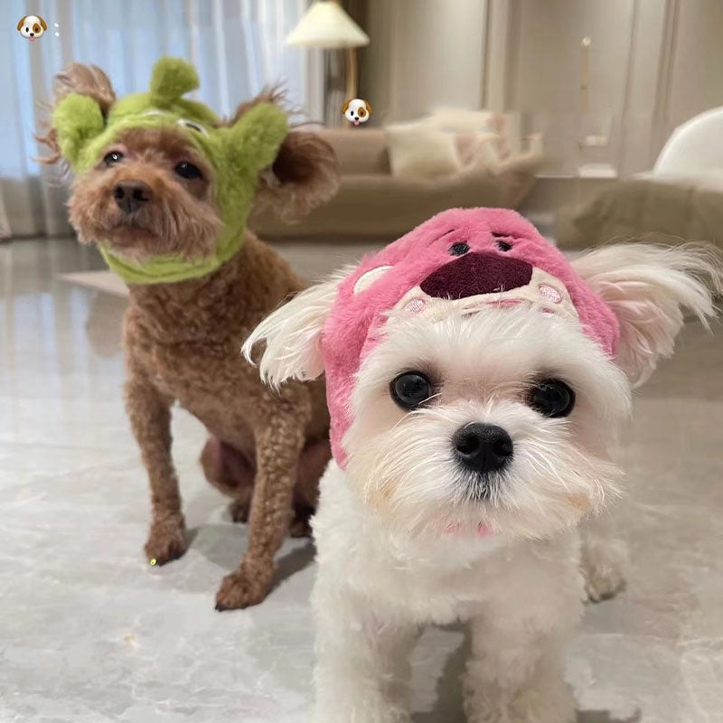 หมวกแมวและเสื้อผ้าสัตว์เลี้ยง - 图片5