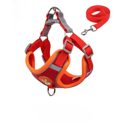 สายจูงสัตว์เลี้ยงสะท้อนแสงหลากสีสัน - 图片16