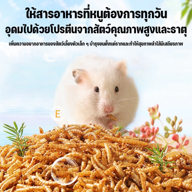 หนอนแห้งสำหรับสัตว์เลี้ยง - 图片1