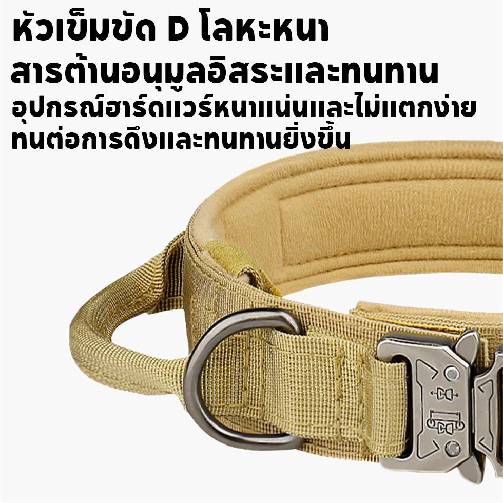 ปลอกคอสุนัขไนลอนปรับขนาดได้ สำหรับสุนัขขนาดกลางถึงใหญ่ - 图片5
