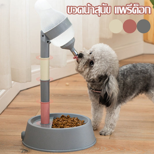 น้ำพุสำหรับสัตว์เลี้ยงและชามอาหาร 2-in-1 - 主图