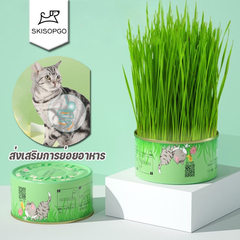 เมล็ดหญ้าแมว (พร้อมรับประทาน) - 主图