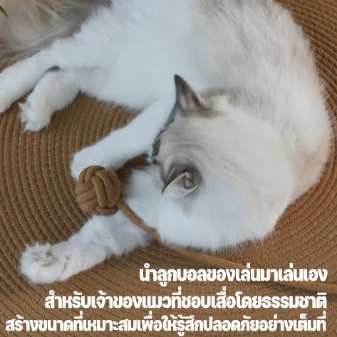 แผ่นรองข่วนแมว - 图片7