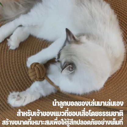 แผ่นรองข่วนแมว - 图片7