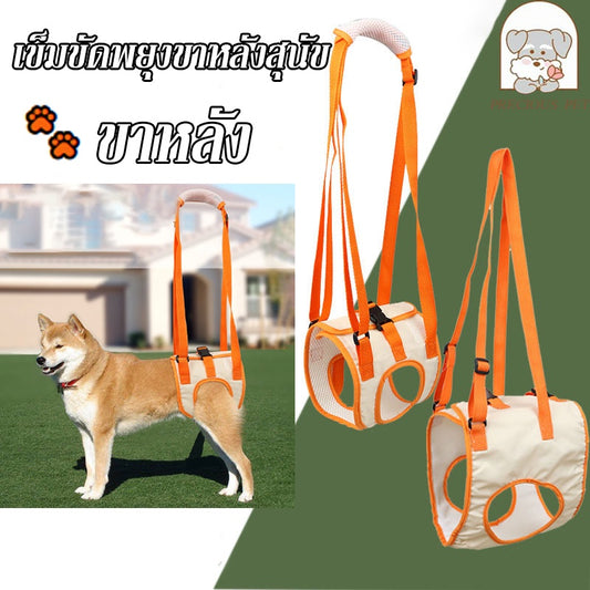 เข็มขัดพยุงขาหลังสัตว์เลี้ยง - 主图