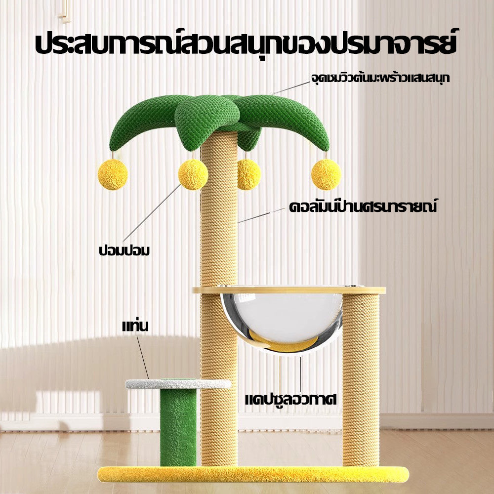 โครงปีนแมว เสาสำหรับแมวข่วน - 图片3