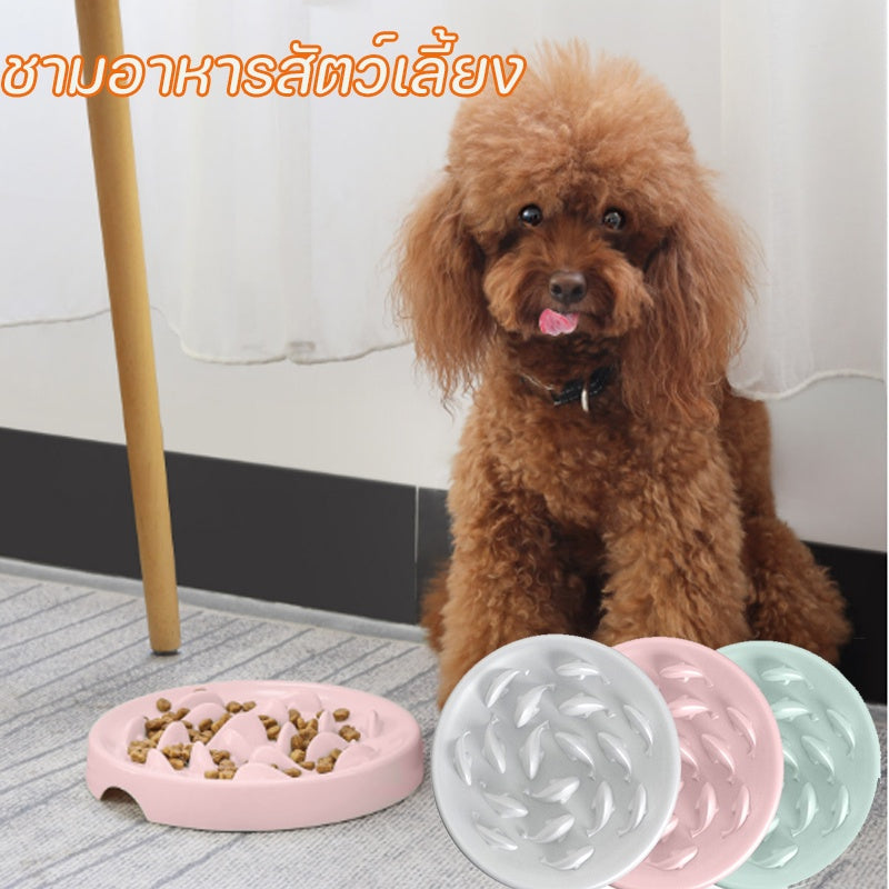 ชามอาหารสัตว์เลี้ยงแบบชะลอการให้อาหาร - 主图