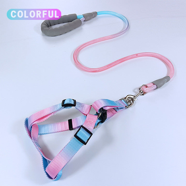 สายจูงสัตว์เลี้ยง สายจูงสุนัข และปลอกคอแมวสีไล่ระดับ