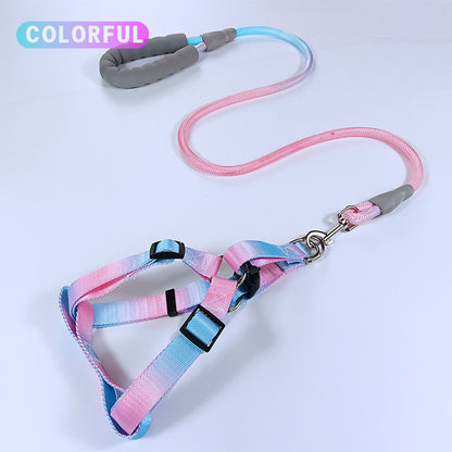 สายจูงสัตว์เลี้ยง สายจูงสุนัข และปลอกคอแมวสีไล่ระดับ