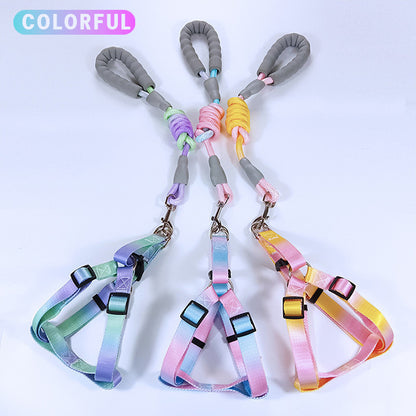 สายจูงสัตว์เลี้ยง สายจูงสุนัข และปลอกคอแมวสีไล่ระดับ