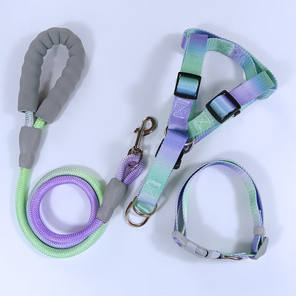 สายจูงสัตว์เลี้ยง สายจูงสุนัข และปลอกคอแมวสีไล่ระดับ