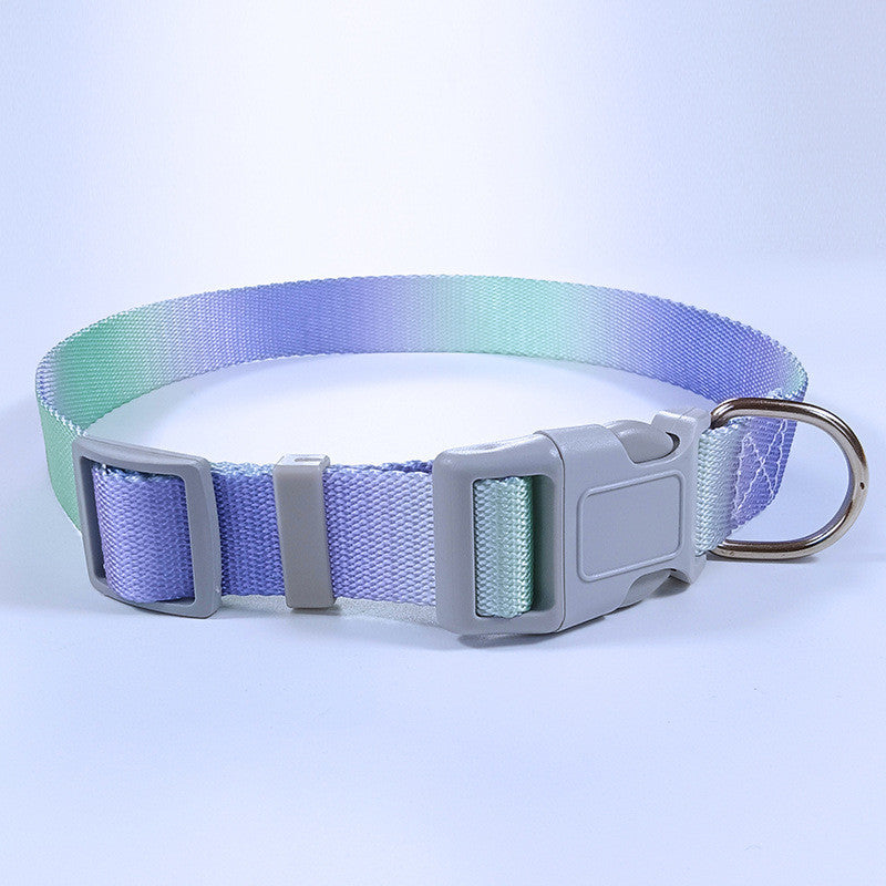 สายจูงสัตว์เลี้ยง สายจูงสุนัข และปลอกคอแมวสีไล่ระดับ