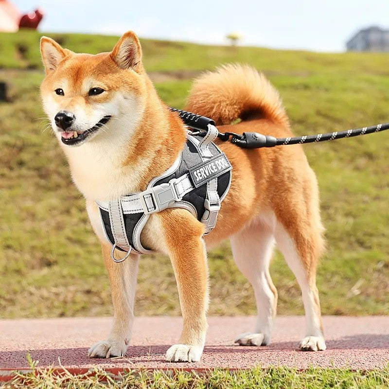 I